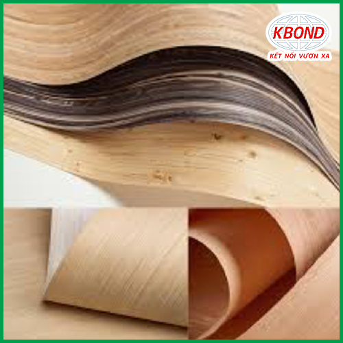 Keo Dán Veneer